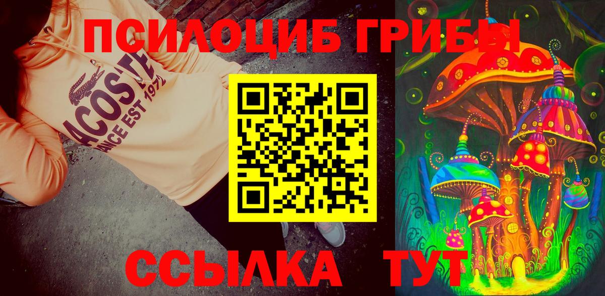 Кострома  хочу наркоту  Вход с VPN  Псилоцибиновые грибы прущие грибы 